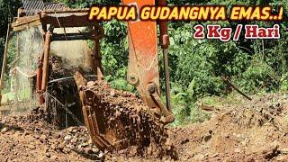 TAMBANG EMAS PAPUA.. 1 HARI DAPAT 2 KG  INDONESIAN GOLD MINING IN PAPUA