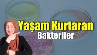 Sağlık Veren Şifalı Bakteriler  Fzt Aynur BAŞ