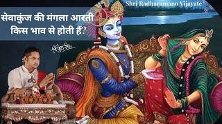 सेवा कुंज की मंगला आरती किस भाव से होती हैं? #sripundrik #sevakunj #vrindavan