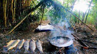 Sobrevivência Abrigo de pesca Selvagem Pescaria com Peixe frito - Acampamento na beira do rio