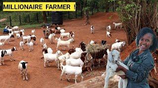 All You Need To Feed GOATS For Better Growth For Beginners  Grasses Water ROUTINE