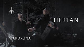 Wardruna - Hertan Heart Official Music Video