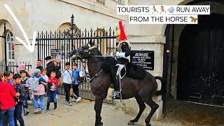 Tourists Flee from Horse as Kings Guard Displays Great Horsemanship Skills Horse Guards in London