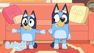 Saison 3 Épisodes complets  Bluey Français Chaîne Officielle