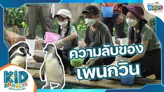 ความลับของเพนกวิน  Kid Rangers ปฏิบัติการเด็กช่างคิด