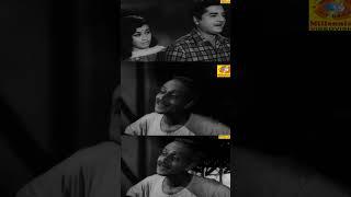 Moodalmanju Movie Shorts  മൂടൽമഞ്ഞ്  Prem Nazir & Sheela  Vincent  Malayalam Evergreen Superhit