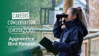 Chester Zoo Careers - Apprentice Bird Keeper