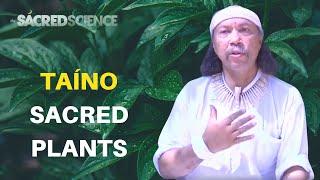 Taíno Spiritual Wisdom Shamanic Practices and Sacred Plant Medicine  Miguel Sobaoko Koromo Sague