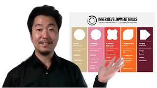 Daniel Hires - The Inner Development Goals Initiative IDG