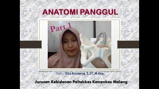 Anatomi Panggul Part 1