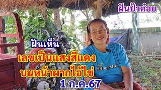 เห็นเลข เป็นแสงสีแดง บนหน้าผากไอ้ไข่ ฝันป้าต๋อยโค้งสุดท้าย  1ก.ค.67