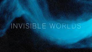 Invisible Worlds Now Open at the American Museum of Natural History