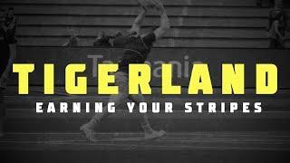 TIGERLAND Earning Your Stripes