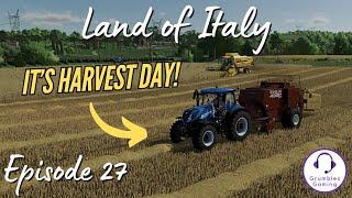 OUR GRAIN HARVEST HAS BEGUN  Land of Italy  FS 22  Episode 27