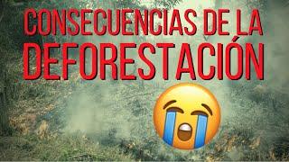 Las TERRIBLES CONSECUENCIAS de la DEFORESTACIÓN  