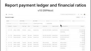 Report payment ledger and financial ratios  ERPNext v15