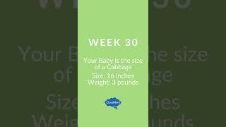 Giveaway Week 30 My Pregnancy Week by Week  Cloudmom  GIVEAWAY    #pregnancyjourney