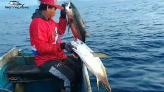 DOUBLE STRIKE..‼ TUNA SIRIP KUNING umpan amis mancing tonda