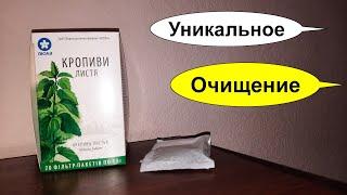 Очищение организма и крови крапивой рецепт. Как правильно проводить очищение. Крапива двудомная