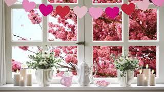 Pink Cherry Blossom Bliss Valentines Day Window View ASMR Ambience Cottagecore Long Version