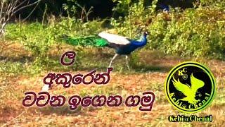 ල අකුරෙන් වචන  la akuren wachana