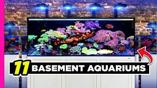 11 Fish Tanks in His Basement