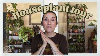 HOUSEPLANT TOUR A Tour of My Plant Shelves and Front Room 