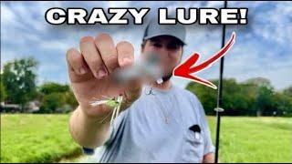 I Can’t Believe this CRAZY TEMU fishing LURE actually works