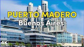 【4K】Un MODERNO y ELEGANTE Barrio de BUENOS AIRES  PUERTO MADERO Argentina