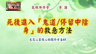 死後進入「鬼道停留中陰身」的救急方法 粵語中文字幕 - 慈悲心與菩提心的觀修方法44  啤嗎哈尊金剛上師 敦珠佛學會