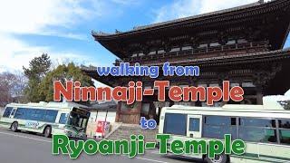 walking from Ninnaji-Temple to Ryoanji-Temple