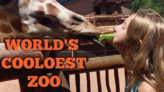 WORLDS COOLEST ZOO - FEEDING GIRAFFES AT THE ZOO - FUN DAY WITH THE KIDS - YEAR IN REVIEW VLOG