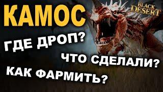 КАМОС Где дроп? Новое расписание. Фарм боссов в БДО BDO - Black Desert