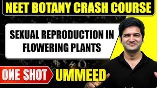 SEXUAL REPRODUCTION IN FLOWERING PLANTS in 1 Shot All Concepts Tricks & PYQs  NEET Crash Course