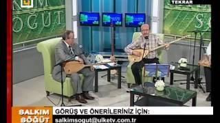 Salkım Söğüt - Mehmet ERENLER