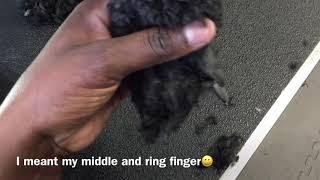 How to do CLEAN FEET on dogs