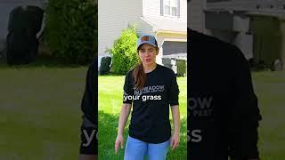 How to Cut Fescue Grass?