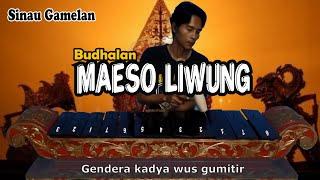 Budhalan Maeso Liwung - Sinau Gamelan