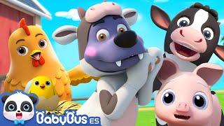 Canción de Granja  Canciones Infantiles  Videos para Niños  BabyBus en Español