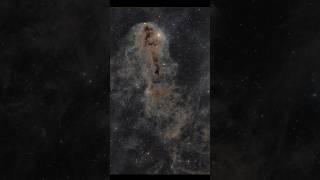 LDN 1251 The Rotten Fish Nebula 1000 Light Years Away From Us #shorts