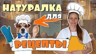 NATURAL FOOD for dogs  RECIPES for dogs for every day Homemade dog food recipes