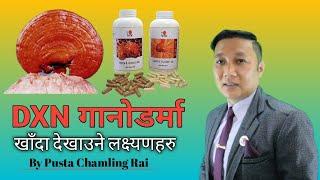 Dxn कम्पनिको गानोदर्मा खाँदा देखाउने लक्ष्यणहरु  Pusta Chamling Rai