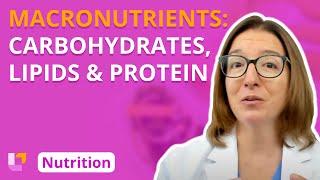 Macronutrients Carbohydrates Lipids Protein - Nutrition Essentials for Nursing  @LevelUpRN