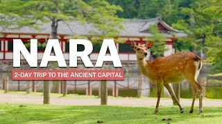 Essentials of NARA  2-Day Trip  japan-guide.com