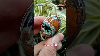 SUPER‼️ Pancawarna Garut Ngabarasat   #edong #pancawarna #batuakik #gemstone #Merahcabe