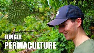 Permaculture Tour Costa Rica  Jungle Filled With Fruits and Wild Edible Plants