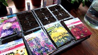 A Complete Guide on How & When to Seed Start Annual Garden Flowers Indoors Save Money