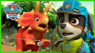 Best PAW Patrol Dino Pups Rescues and Mighty Missions - PAW Patrol - Cartoons for Kids