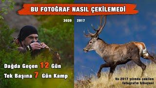 NASIL ÇEKİLEMEDİ  12 Gün Dağda Kalıp Geyik Çekememek. Vahşi Yaşam Fotoğrafçılığı Ne Kadar Zor