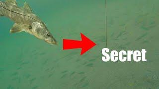 This Is The Secret To Catching Fish Anywhere Saltwater Fishing Florida